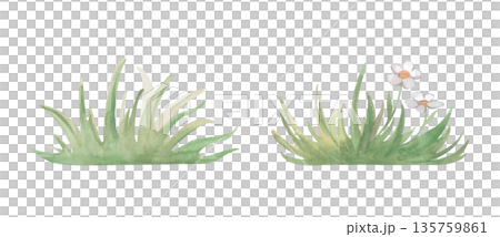 A set of two bunches of green grass with and without white flowers, in natural tones. Watercolor illustration on an isolated background. A botanical clipart with an image of grass for summer decor. 135759861