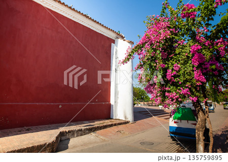 Beautiful Buganvilia plants at the colonial streets of the Heritage Town of Santa Cruz de Mompox in Colombia. 135759895
