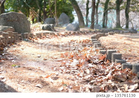 木漏れ日が差し込む冬の公園の遊歩道と積もった落ち葉(散歩道) 木漏れ日が差し込む冬の公園の遊歩道と積もった落ち葉(散歩道) 135761130