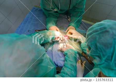 Surgical Team Performs Precise Operation In Operating Room Under Sterile Conditions Surgical Team Performs Precise Operation In Operating Room Under Sterile Conditions 135763311