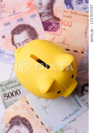 A piggy bank as a concept for storing, accumulating, and saving financial resources. A piggy bank A piggy bank as a concept for storing, accumulating, and saving financial resources. A piggy bank 135763587