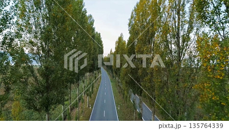Calm Countryside Pathway Through Vibrant Trees, Quiet Rural Lane With Colorful Foliage Under Autumn Sky Calm Countryside Pathway Through Vibrant Trees, Quiet Rural Lane With Colorful Foliage Under Autumn Sky 135764339