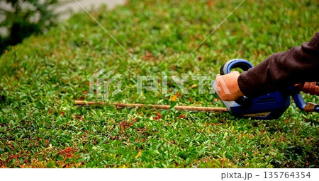 Outdoor Scene Showing Worker Maintaining Garden With Batteryoperated Trimmer And Sunlit Greenery Outdoor Scene Showing Worker Maintaining Garden With Batteryoperated Trimmer And Sunlit Greenery 135764354