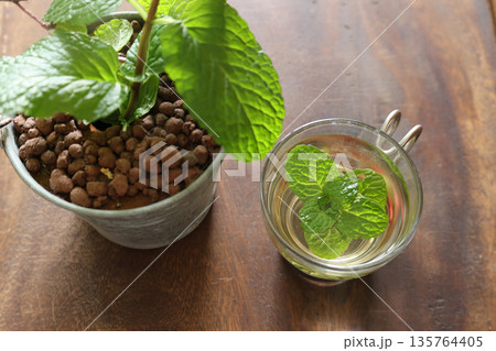 グラスに入れたミントティーと鉢植えののミント 135764405
