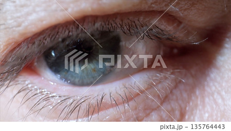 Close Image Highlighting Eye Anatomy Details, Highresolution Depiction Of Eye With Eyelashes And Moisture Close Image Highlighting Eye Anatomy Details, Highresolution Depiction Of Eye With Eyelashes And Moisture 135764443