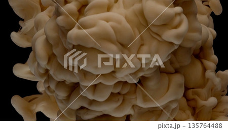 Suspended Beige Ink Creates Flowing Sculptures, Dark Contrasting Background Highlights Textured Ink Art Suspended Beige Ink Creates Flowing Sculptures, Dark Contrasting Background Highlights Textured Ink Art 135764488