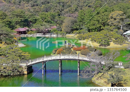 【香川県】桜咲く春の栗林公園（特別名勝） 135764500