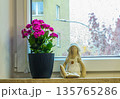 Cozy spring still life on a rainy window. Pink houseplant and textile toy creating home warmth on a cloudy day 135765286