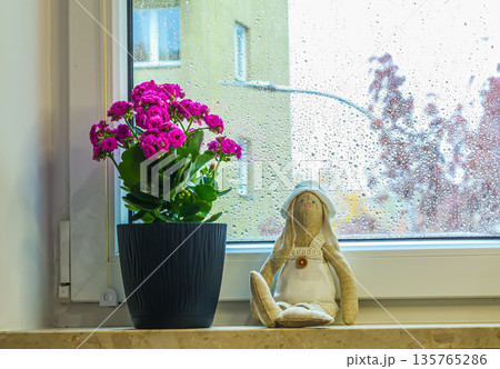 Cozy spring still life on a rainy window. Pink houseplant and textile toy creating home warmth on a cloudy day 135765286