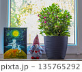 Cozy interior composition on a window. A painting of the Little Prince, a textile gnome with a heart, and green Kalanchoe create an atmosphere of warmth and creativity on a sunny spring day 135765292