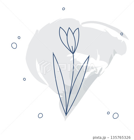 Elegant botanical line art illustration of a tulip. Modern organic element with a soft watercolor splash for eco-branding, packaging design, and spring decor Elegant botanical line art illustration of a tulip. Modern organic element with a soft watercolor splash for eco-branding, packaging design, and spring decor 135765326