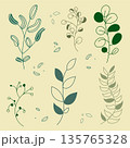 Large collection of modern floral elements. Six different leafy branches on a warm beige background. Universal set for eco-branding, logo design, natural cosmetic packaging, and spring patterns 135765328