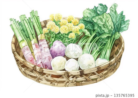 春の訪れを感じさせる新鮮な筍と菜の花と山菜の盛り合わせの水彩画イラスト 135765395