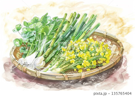 春の訪れを感じさせる新鮮な筍と菜の花と山菜の盛り合わせの水彩画イラスト 春の訪れを感じさせる新鮮な筍と菜の花と山菜の盛り合わせの水彩画イラスト 135765404