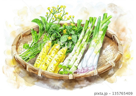 春の訪れを感じさせる新鮮な筍と菜の花と山菜の盛り合わせの水彩画イラスト 135765409