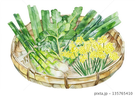 春の訪れを感じさせる新鮮な筍と菜の花と山菜の盛り合わせの水彩画イラスト 135765410