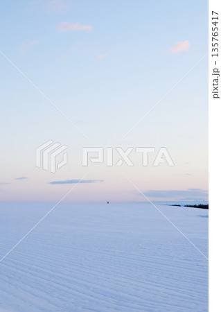 雪原と朝焼け 雪原と朝焼け 135765417