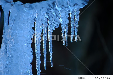 氷結した枝　樹氷の輝き　冬の静寂　幻想的な冬景色　デザイン素材 135765733