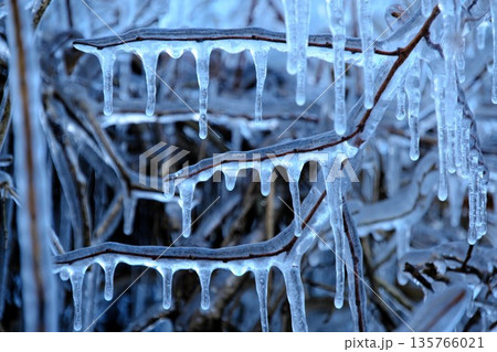 氷に覆われた木の枝とつらら 氷に覆われた木の枝とつらら 135766021