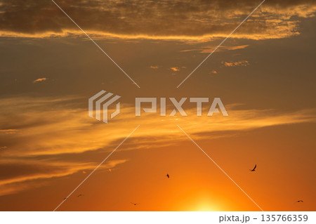 Soft golden sunset clouds over Vlora, Albania on August 2025, with a lone bird gliding across the sky in a peaceful minimalistic scene. 135766359