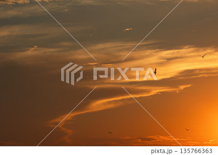Soft golden sunset clouds over Vlora, Albania on August 2025, with a lone bird gliding across the sky in a peaceful minimalistic scene. 135766363