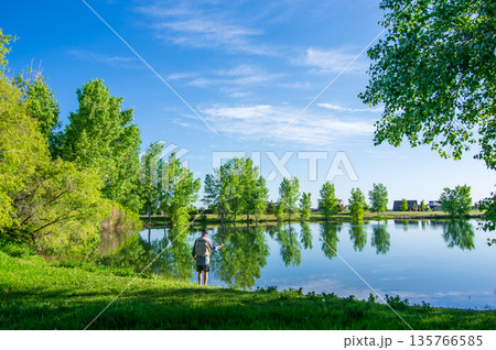 爽やかな風景《水辺の緑》 135766585