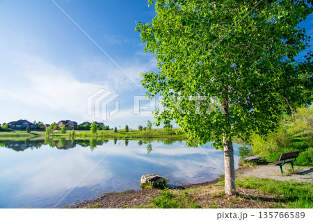爽やかな風景《水辺の緑》 爽やかな風景《水辺の緑》 135766589