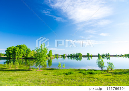 爽やかな風景《水辺の緑》 135766594