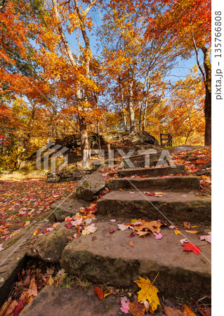 Stone Steps Covered in Autumn Leaves Stone Steps Covered in Autumn Leaves 135766808