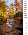 Autumn Creek Bed Covered in Fallen Leaves 135766860