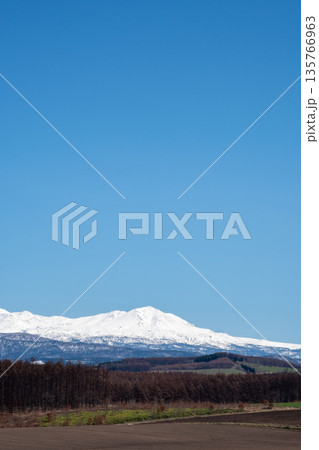 春の晴れた日の丘陵地帯と雪山　大雪山 135766963