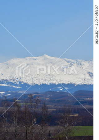 春の晴れた日の雪が残る丘陵地帯と雪山　十勝岳 135766967