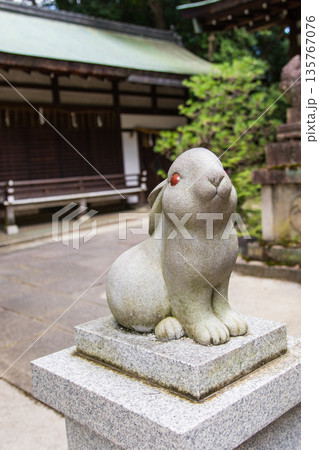 狛うさぎ～岡崎神社～(京都府-京都市) 135767076