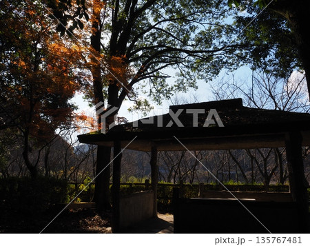 河内長野市 滝畑ダムの紅葉 河内長野市 滝畑ダムの紅葉 135767481