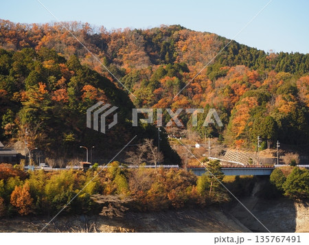 河内長野市　滝畑ダムの紅葉 135767491