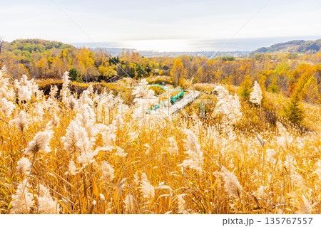 洞爺湖有珠山ジオパーク 135767557