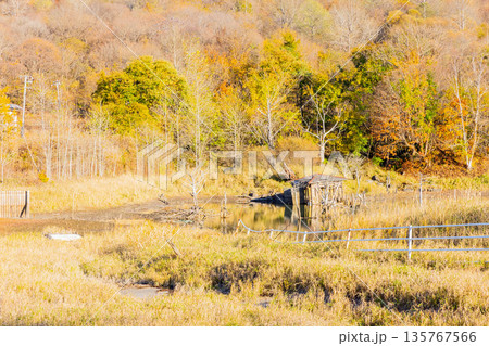 洞爺湖有珠山ジオパーク 135767566