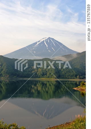 初夏の静かな奥河口湖の湖面に映る深緑の足和田山と群青色の山肌にくっきりと残る残雪の白い筋の逆さ富士 初夏の静かな奥河口湖の湖面に映る深緑の足和田山と群青色の山肌にくっきりと残る残雪の白い筋の逆さ富士 135767889