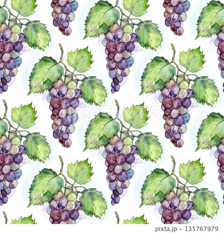 ぶどうのイラスト ぶどうのイラスト 135767979