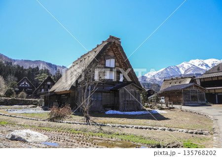 雪の残る早春の白川郷 135768202