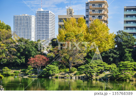 東京都 江東区 清澄庭園 大泉水 中の島 秋の風景 都措定名勝 東京都 江東区 清澄庭園 大泉水 中の島 秋の風景 都措定名勝 135768389