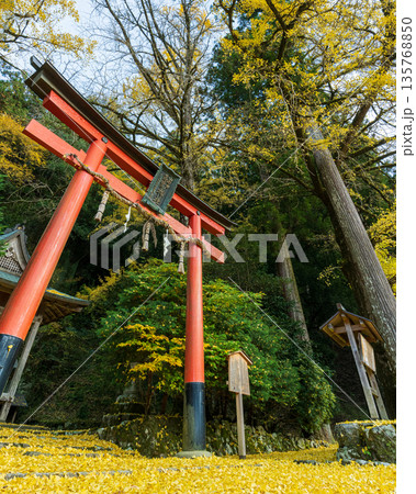 岩戸落葉神社の秋 135768850