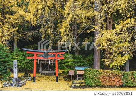 岩戸落葉神社の秋 135768851