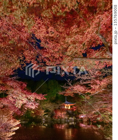 醍醐寺の秋 135769008