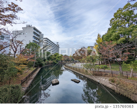 仙台堀川公園　2021年11月 135769363