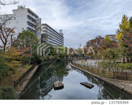 仙台堀川公園 2021年11月 仙台堀川公園 2021年11月 135769364