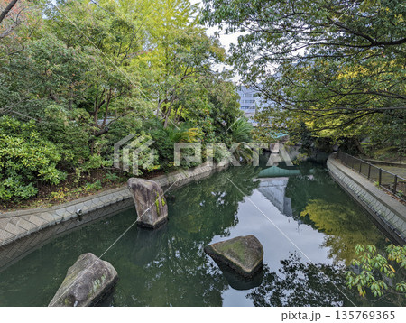 仙台堀川公園 2021年11月 仙台堀川公園 2021年11月 135769365