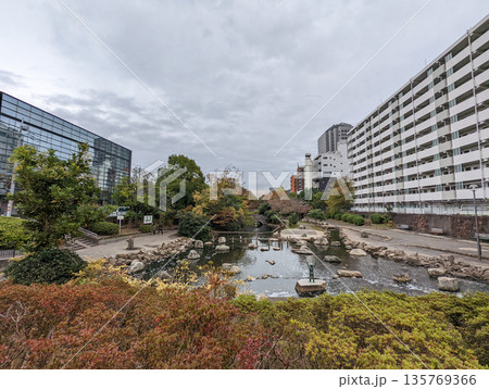仙台堀川公園　2021年11月 135769366