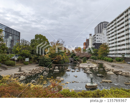 仙台堀川公園 2021年11月 仙台堀川公園 2021年11月 135769367