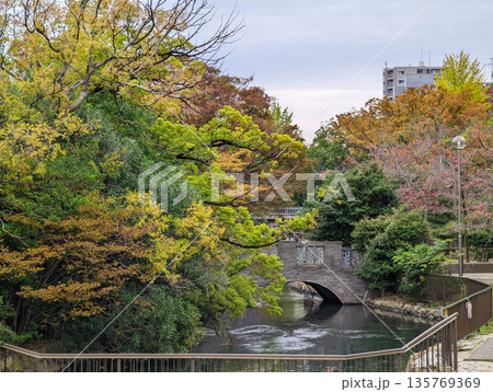 仙台堀川公園 2021年11月 仙台堀川公園 2021年11月 135769369